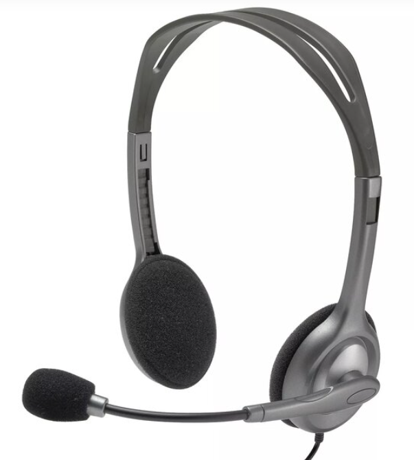 LOGITECH H110 Headphones (981-000271)