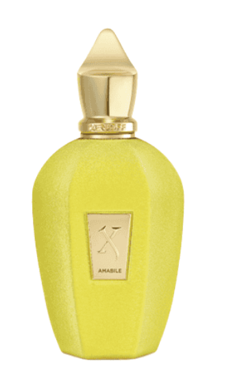Xerjof amabile Perfume EDP 100ml Tester