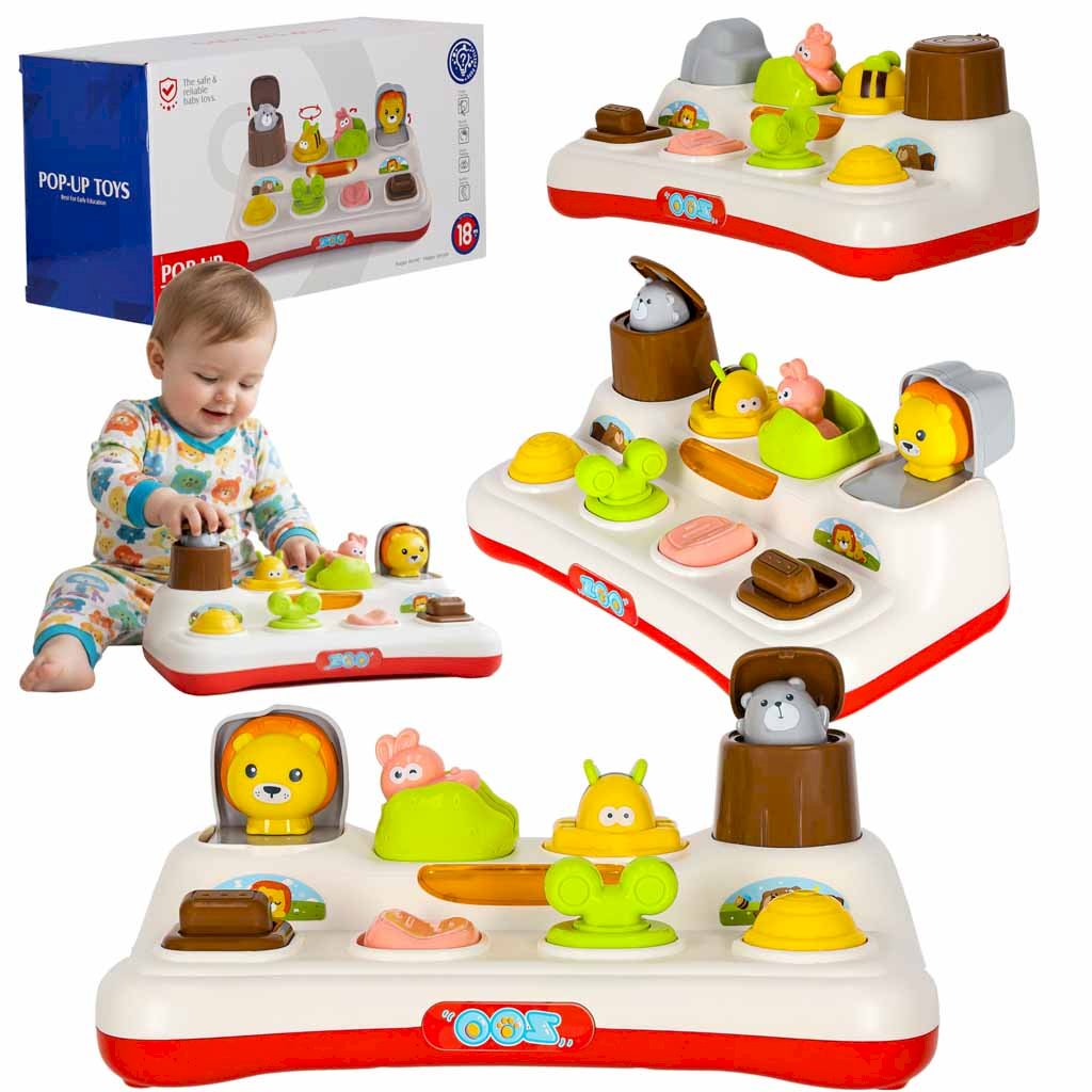 RoGer Pop-Up Educational Toy