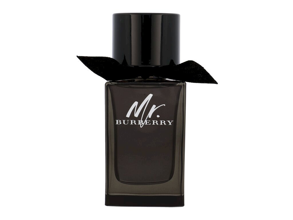 Burberry Mr. EDP 100ml (5045497416243)
