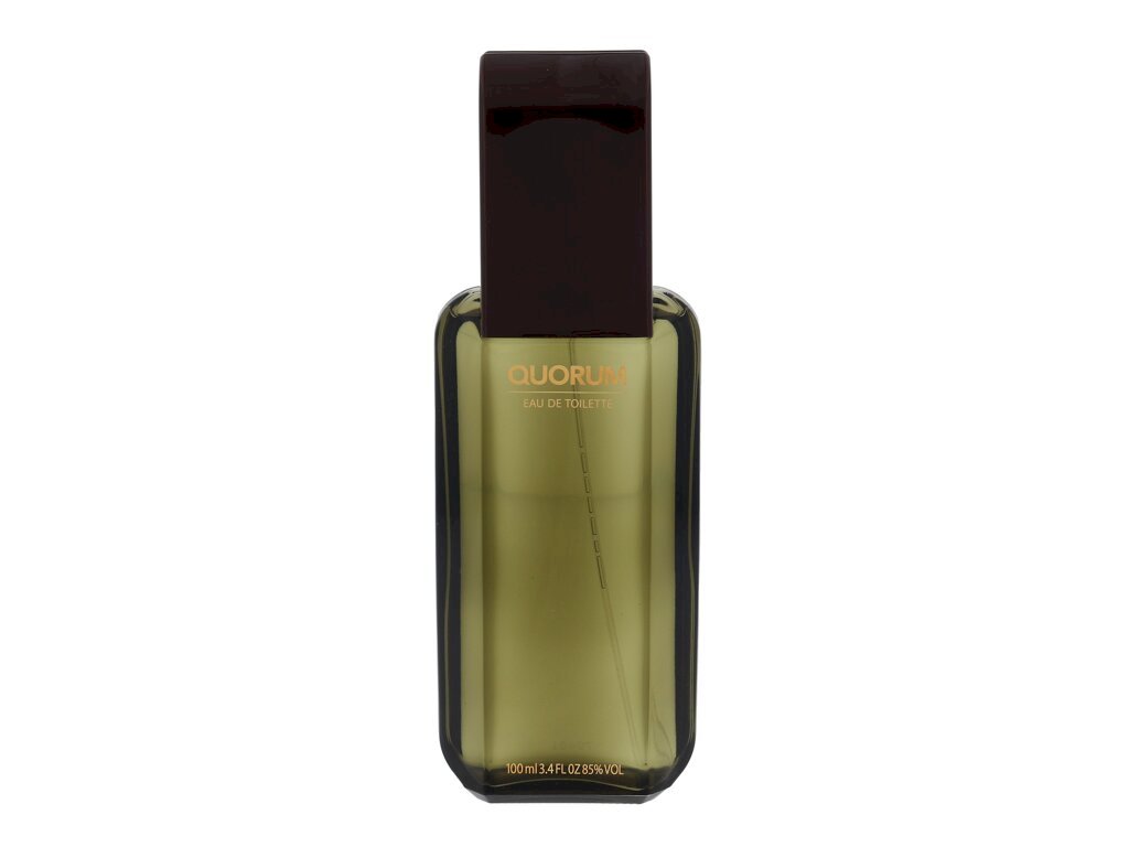 Antonio Puig 100ml Quorum (8411061411919)