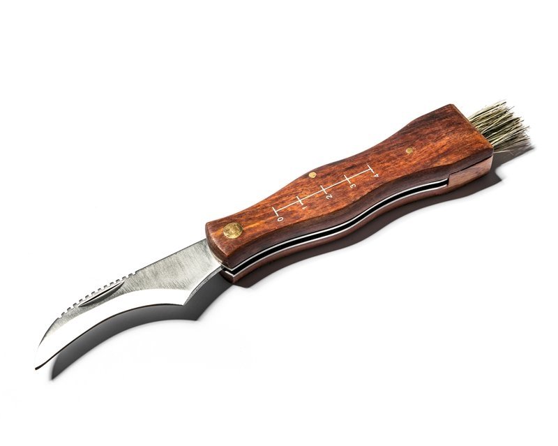RoGer Folding pocket knife for mushroom