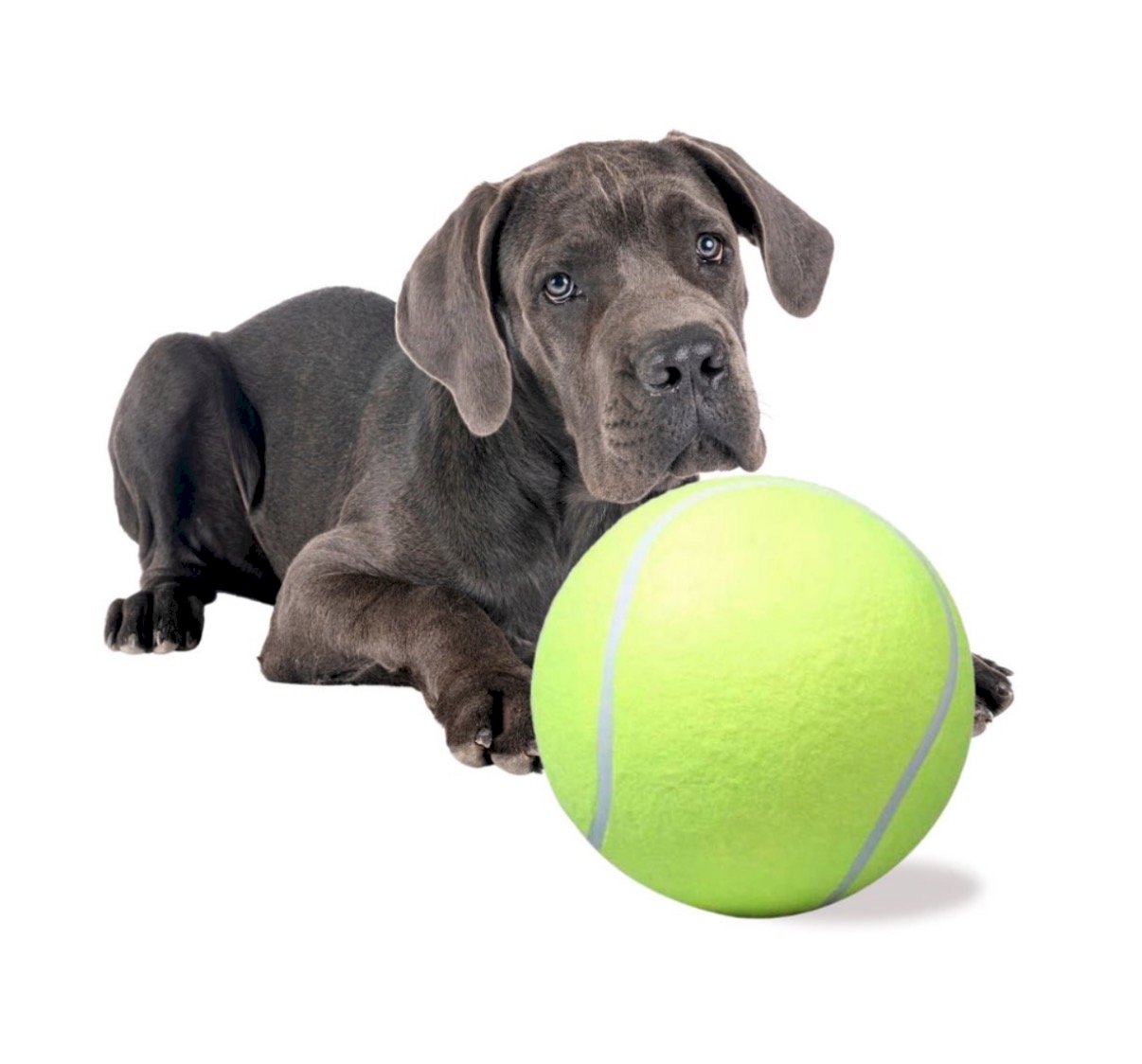 RoGer Giant Tennis Ball Dog Toy XXL