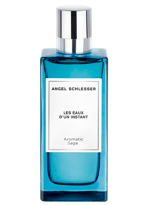 Angel Schlesser Les Eaux D`Un Instant