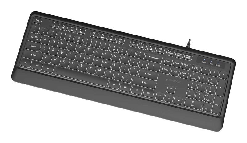 Gembird KB-UML-04 Slim Backlight USB-A+C Keyboard