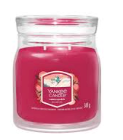 Yankee Candle Santa on Skis Aromatic Candle, 368 g