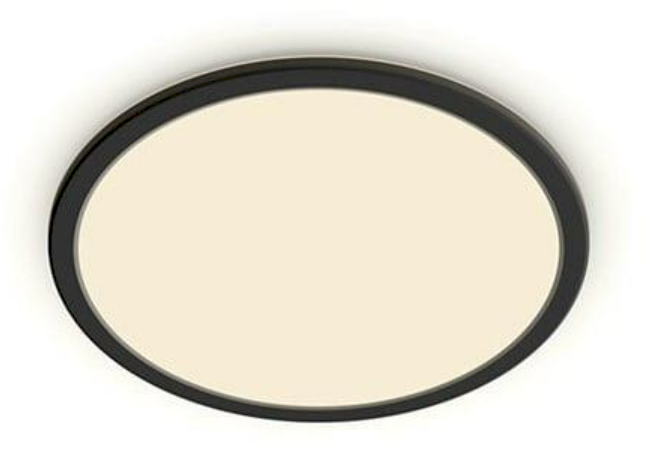 PHILIPS Superslim CL550 Wall/Ceiling Lamp 22W