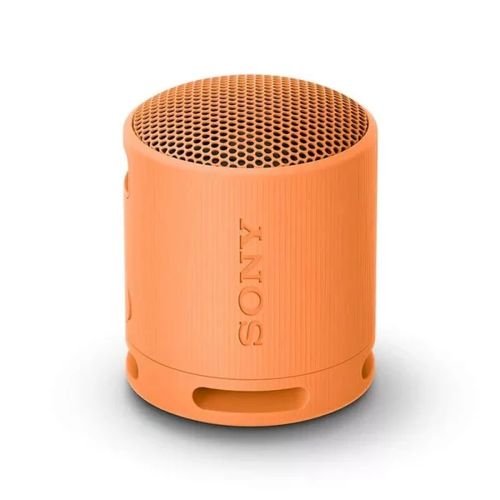 SONY SRS-XB100 Bluetooth Portable Speaker (SRSXB100D