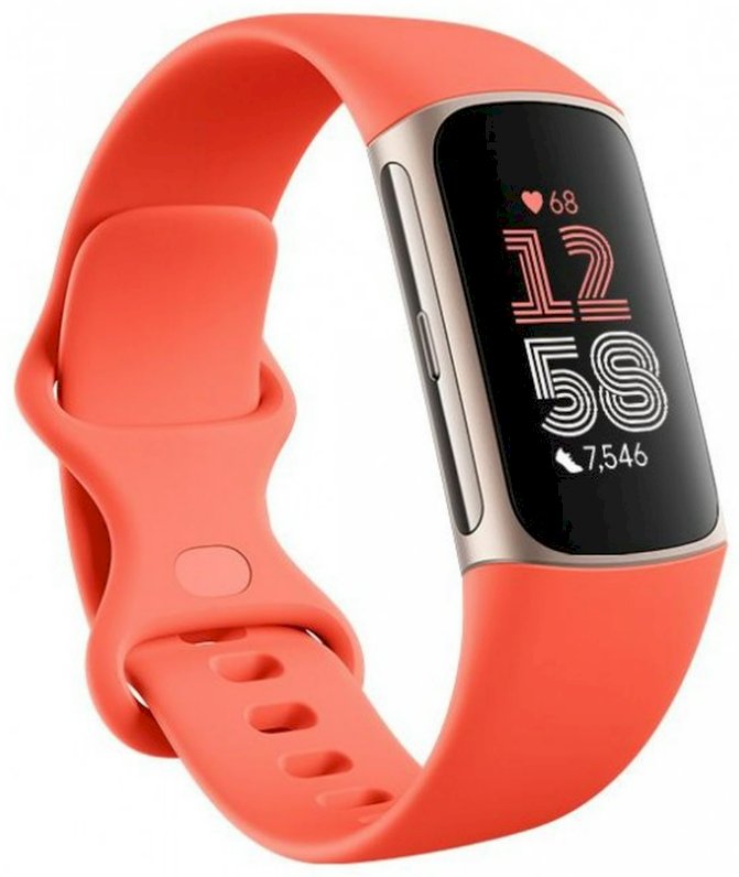 FITBIT Fitbit Charge 6 OLED Activity