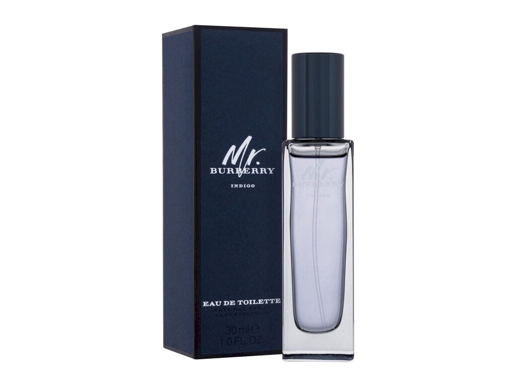 Burberry  Mr. EDT 30ml (3614229840179)