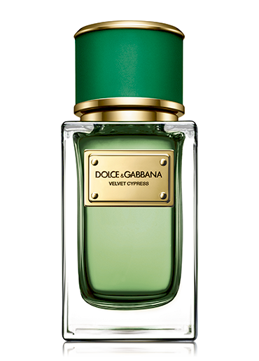 Dolce AND Gabbana Velvet Cypress EDP U 150 ml