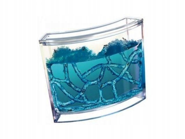 RoGer Educational Gel Ant Farm