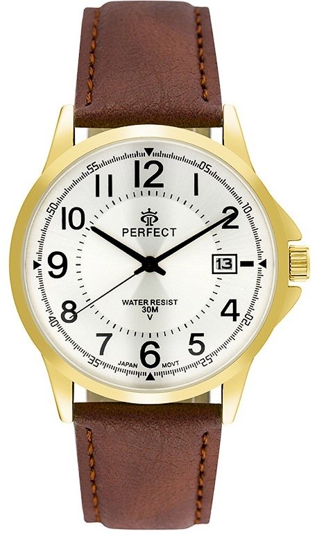 Perfect Men`s Watch C710T-10 / silver