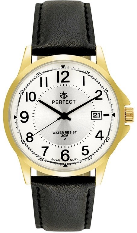Perfect Men's Watch C710T-09 / black